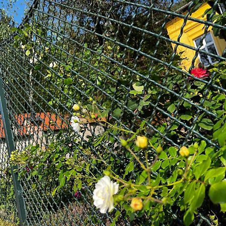 Apartmentvillasolomon7 Visegrád Εξωτερικό φωτογραφία