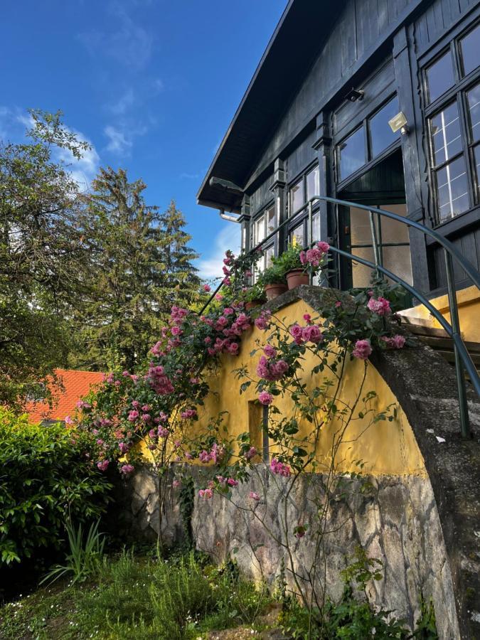 Apartmentvillasolomon7 Visegrád Εξωτερικό φωτογραφία
